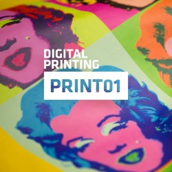 BF PRINT01 White matt Print heat transfer vinyl / B-flex