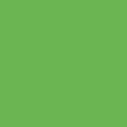 BF754 Grass Green Premium Flex heat transfer vinyl / B-flex