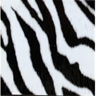 Fantasy Flex Zebra 10 termal transfer film / SEF Textile