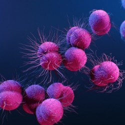 350 Antibacterial/370 čirá antibakteriální samolepicí fólie / iDigit