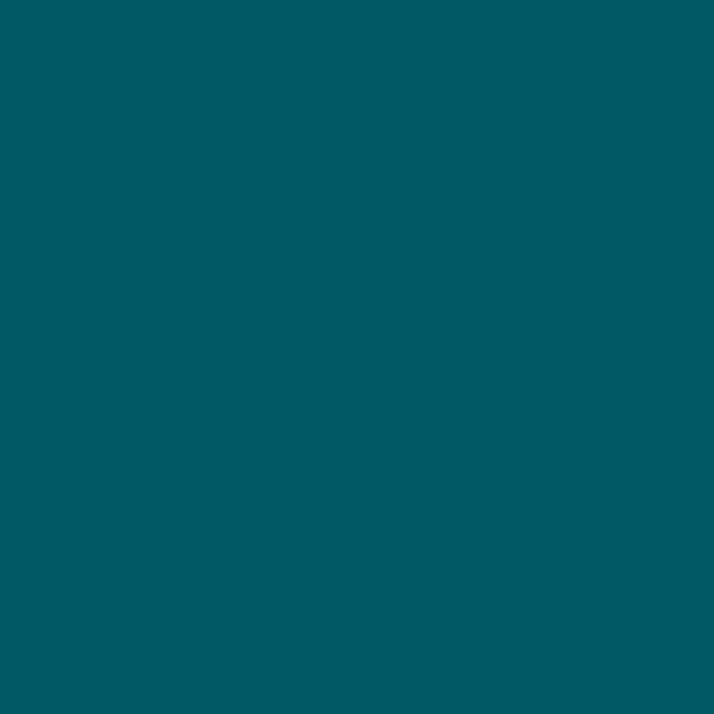 F782 Turquoise Gimme 5 Premium Flex heat transfer vinyl / B-flex